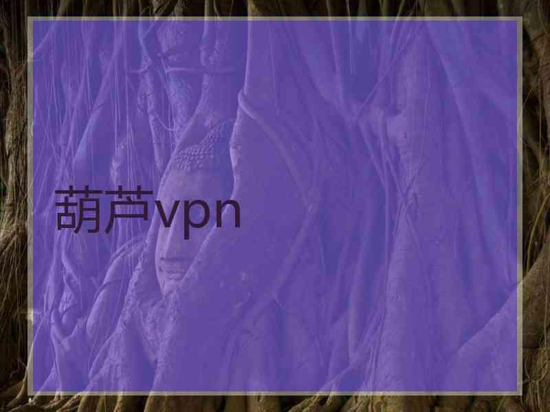 葫芦vpn