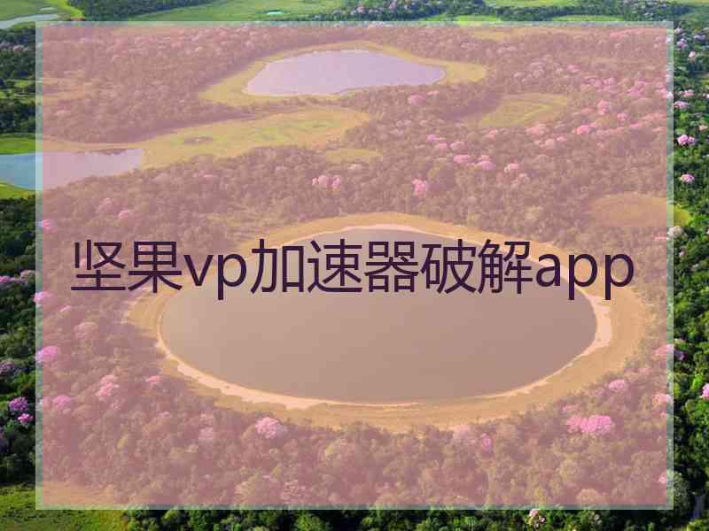 坚果vp加速器破解app