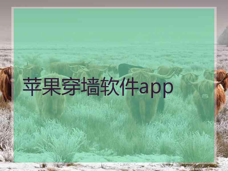 苹果穿墙软件app