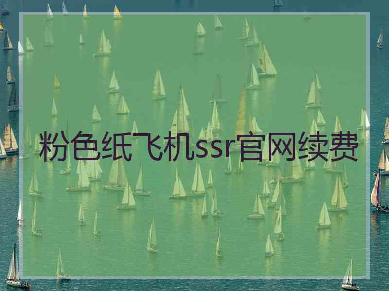 粉色纸飞机ssr官网续费