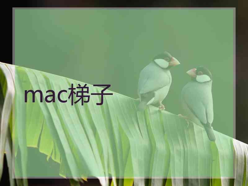 mac梯子