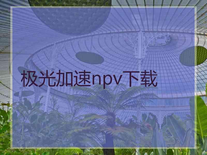 极光加速npv下载