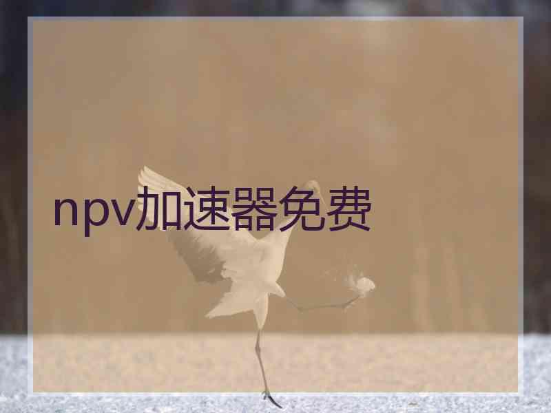 npv加速器免费