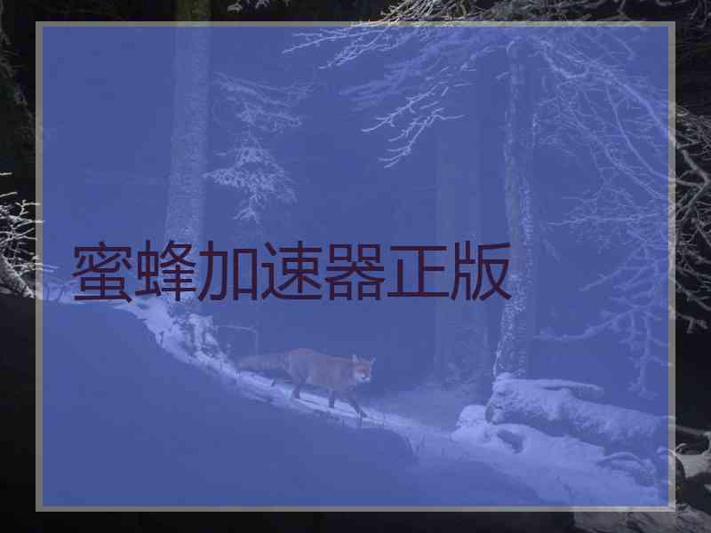 蜜蜂加速器正版