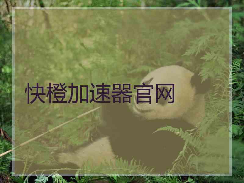 快橙加速器官网