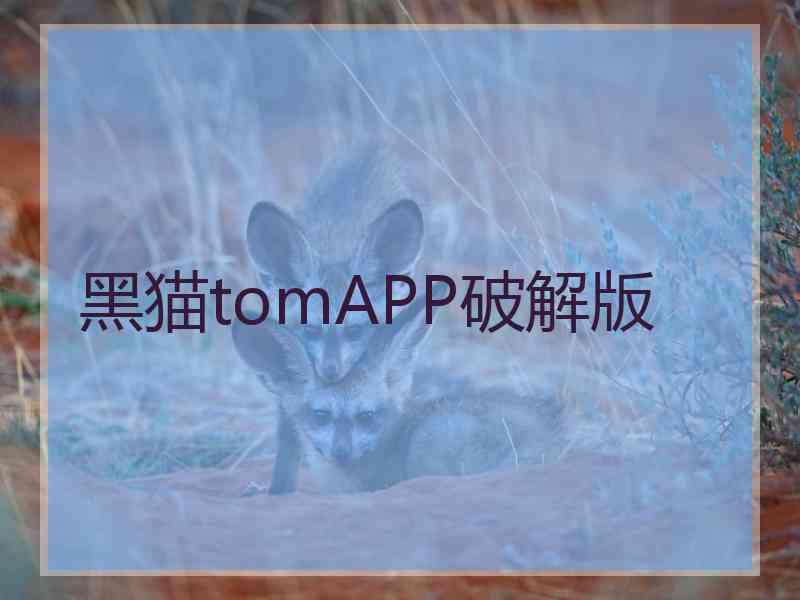 黑猫tomAPP破解版