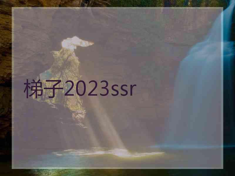 梯子2023ssr