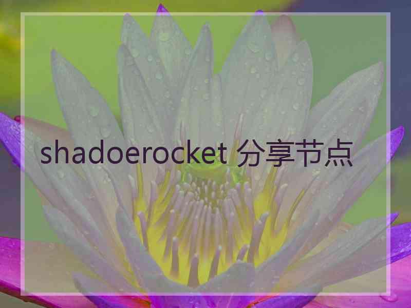 shadoerocket 分享节点