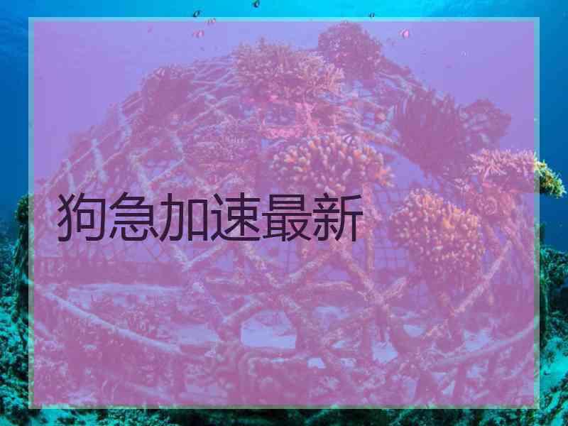 狗急加速最新