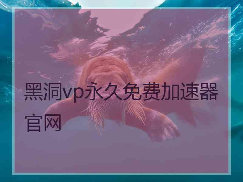 黑洞vp永久免费加速器官网