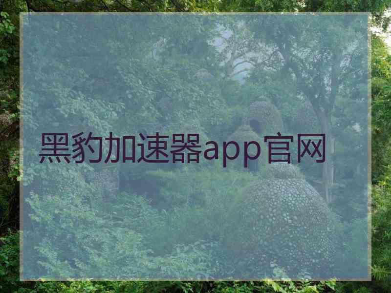 黑豹加速器app官网