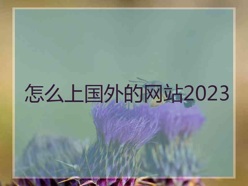 怎么上国外的网站2023