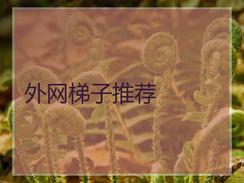 外网梯子推荐