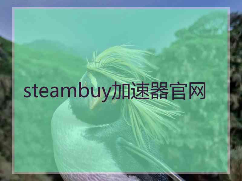 steambuy加速器官网