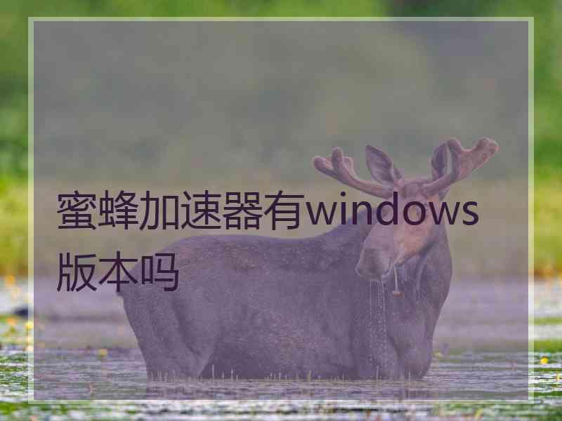 蜜蜂加速器有windows版本吗