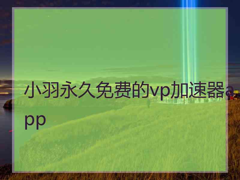 小羽永久免费的vp加速器app