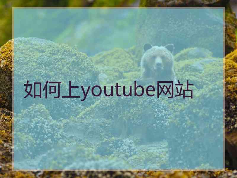 如何上youtube网站