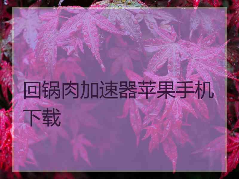 回锅肉加速器苹果手机下载