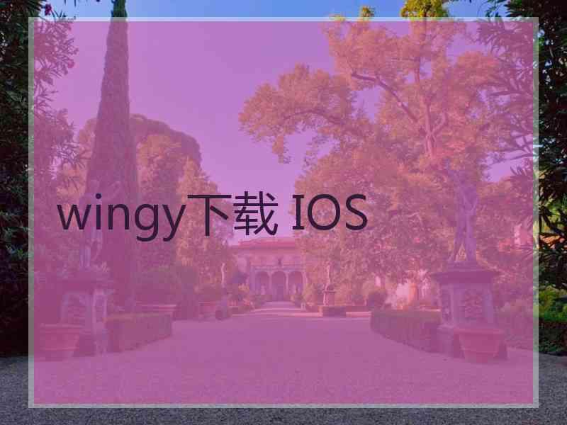 wingy下载 IOS