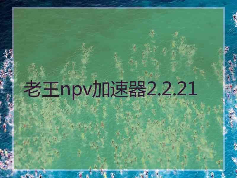 老王npv加速器2.2.21