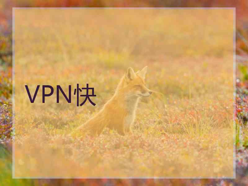 VPN快