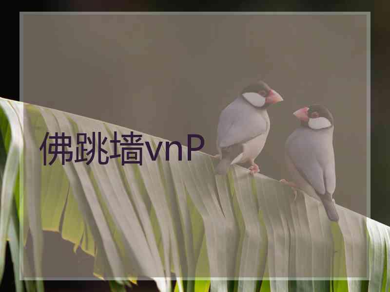 佛跳墙vnP