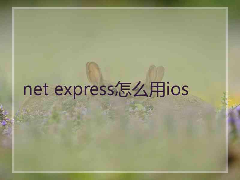 net express怎么用ios