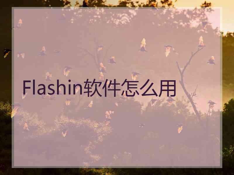 Flashin软件怎么用