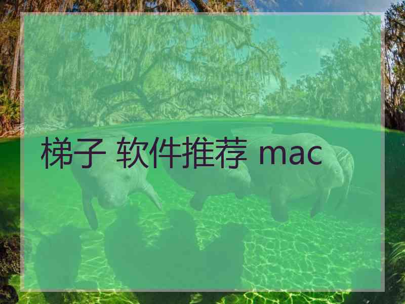 梯子 软件推荐 mac