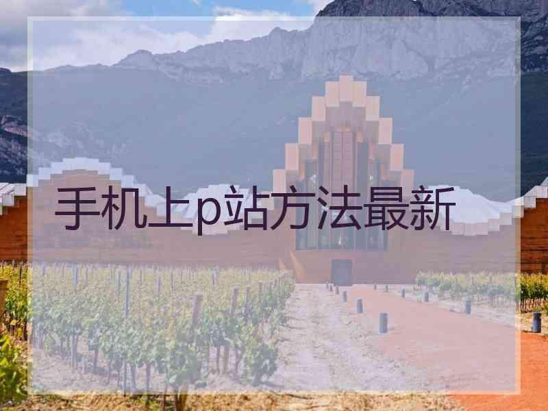 手机上p站方法最新