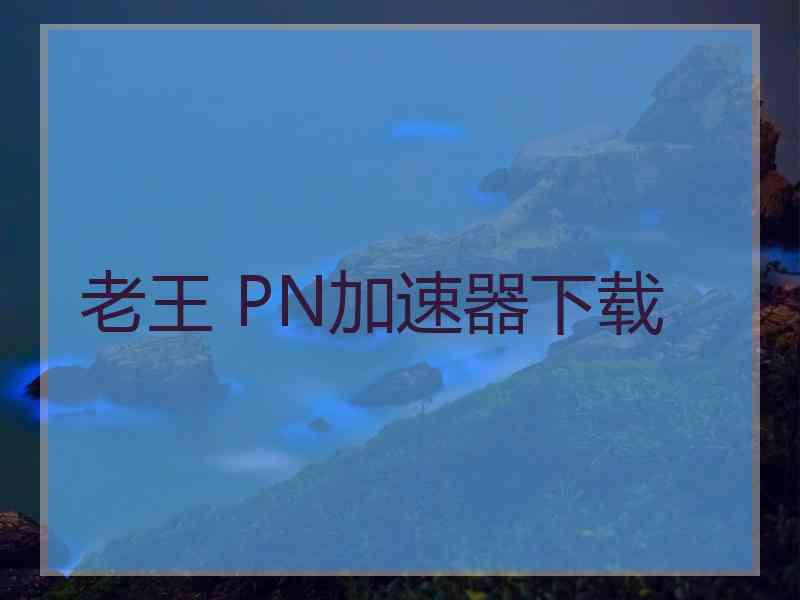 老王 PN加速器下载