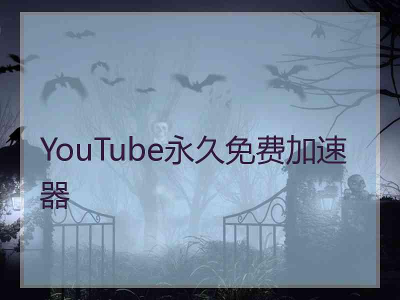 YouTube永久免费加速器