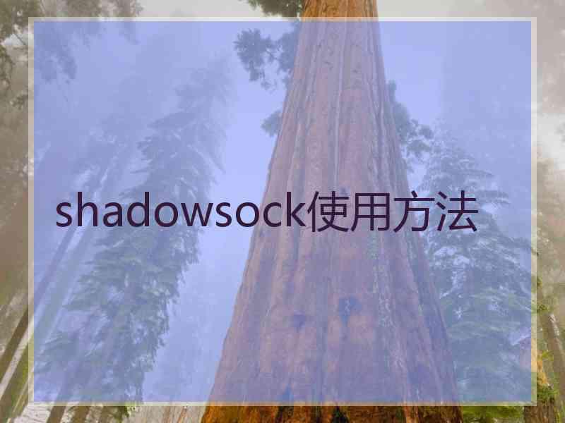 shadowsock使用方法