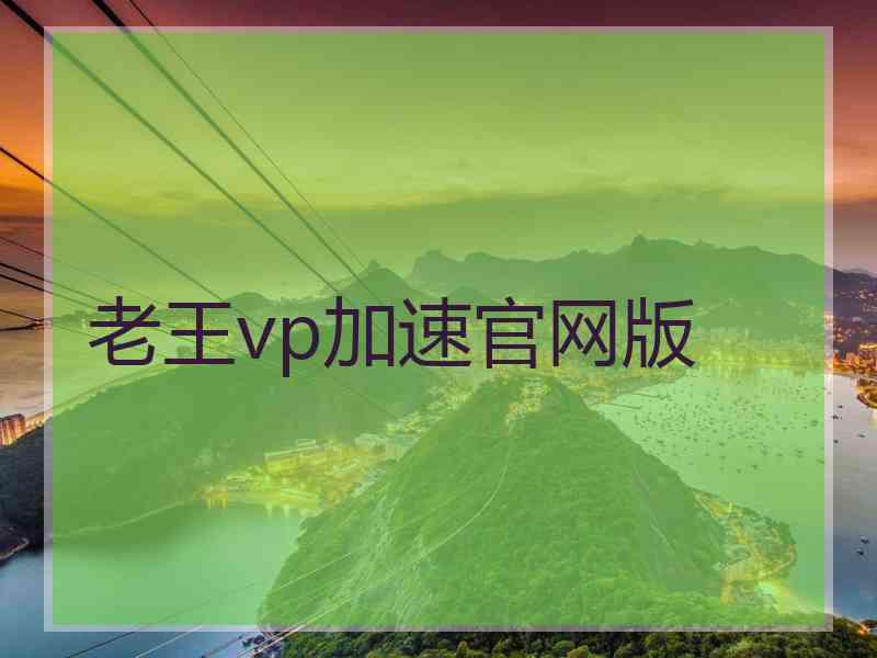 老王vp加速官网版