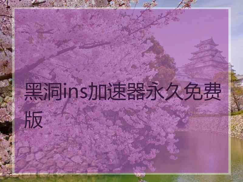 黑洞ins加速器永久免费版