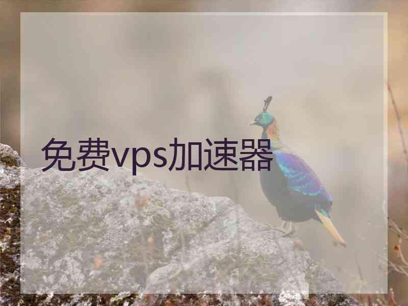 免费vps加速器