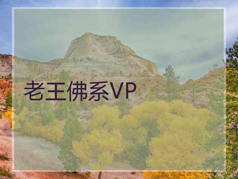 老王佛系VP