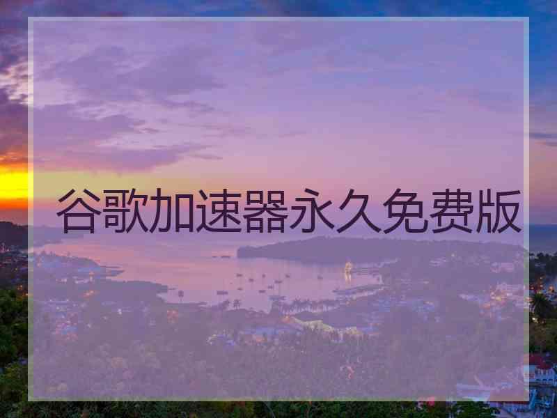 谷歌加速器永久免费版