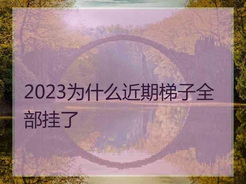 2023为什么近期梯子全部挂了