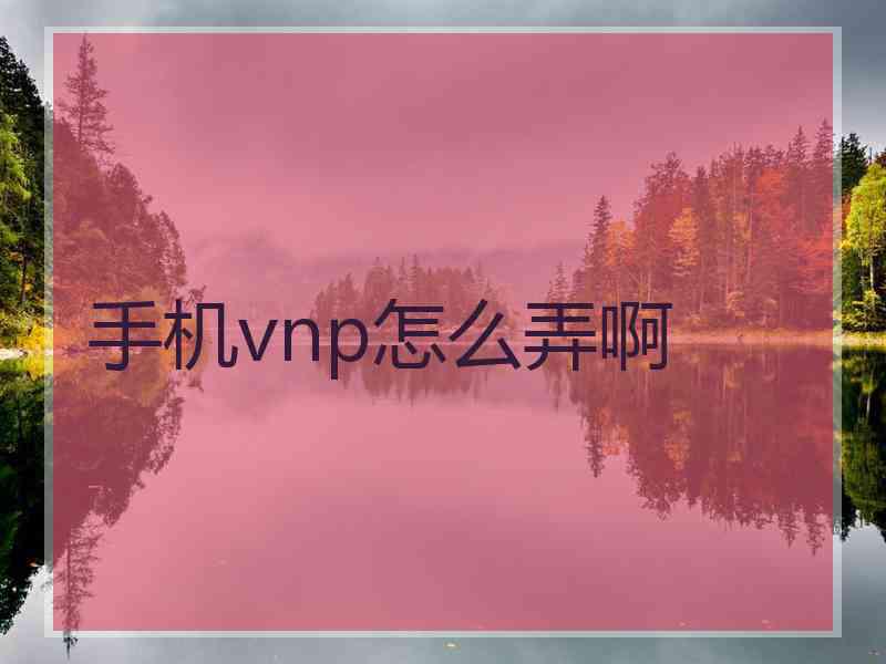 手机vnp怎么弄啊