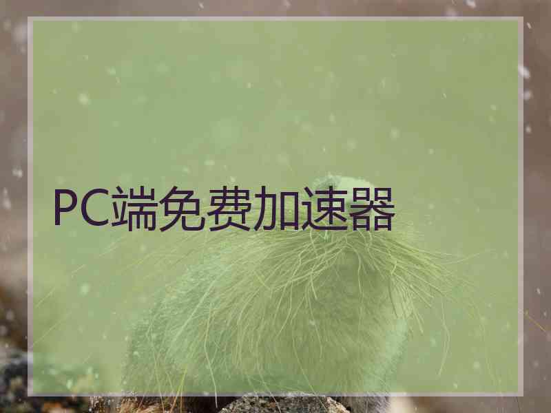 PC端免费加速器