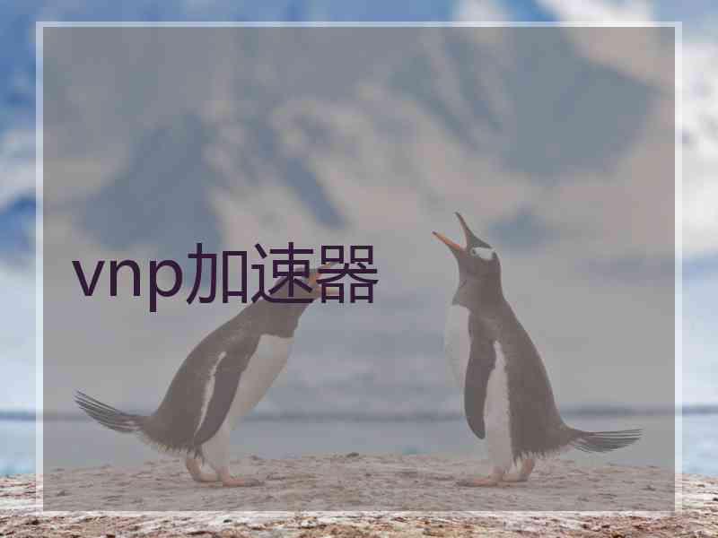 vnp加速器