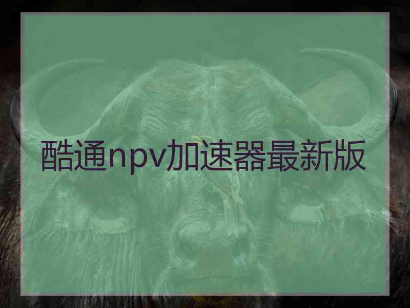 酷通npv加速器最新版