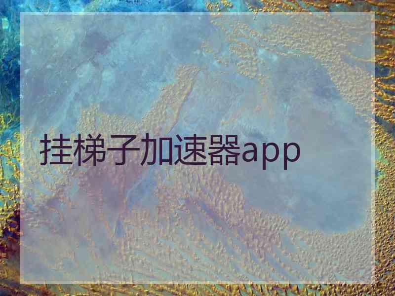 挂梯子加速器app