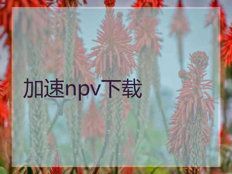 加速npv下载