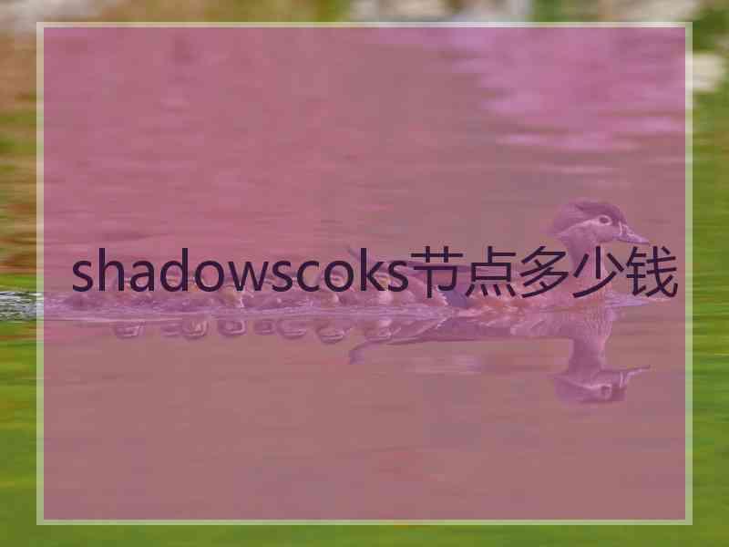 shadowscoks节点多少钱