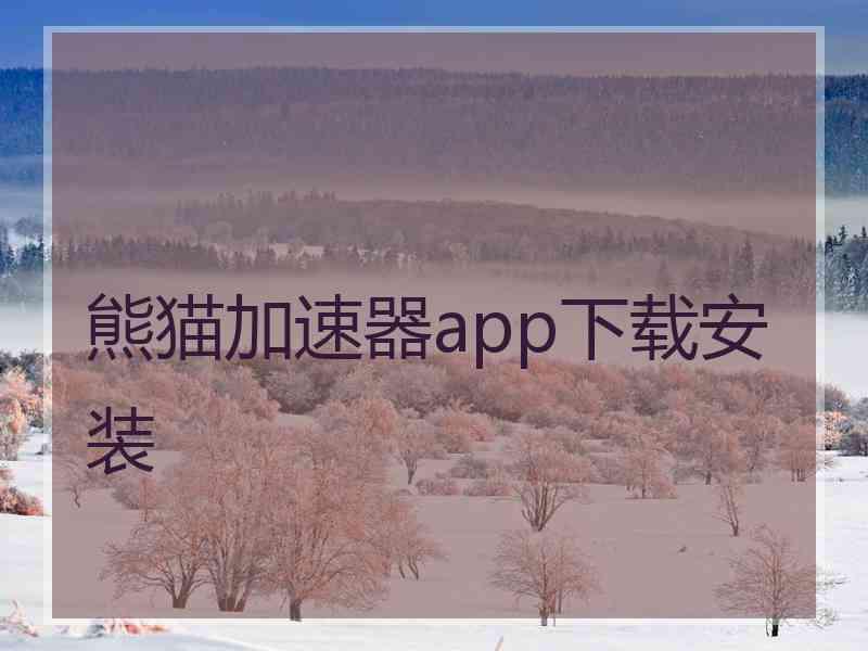 熊猫加速器app下载安装