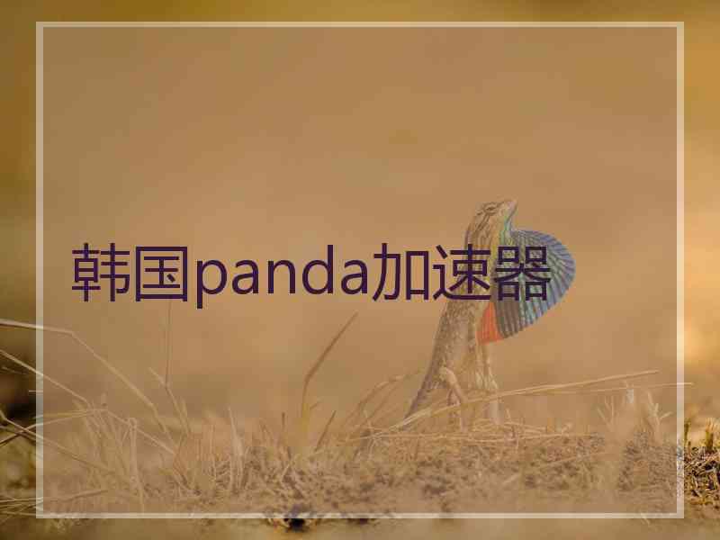 韩国panda加速器