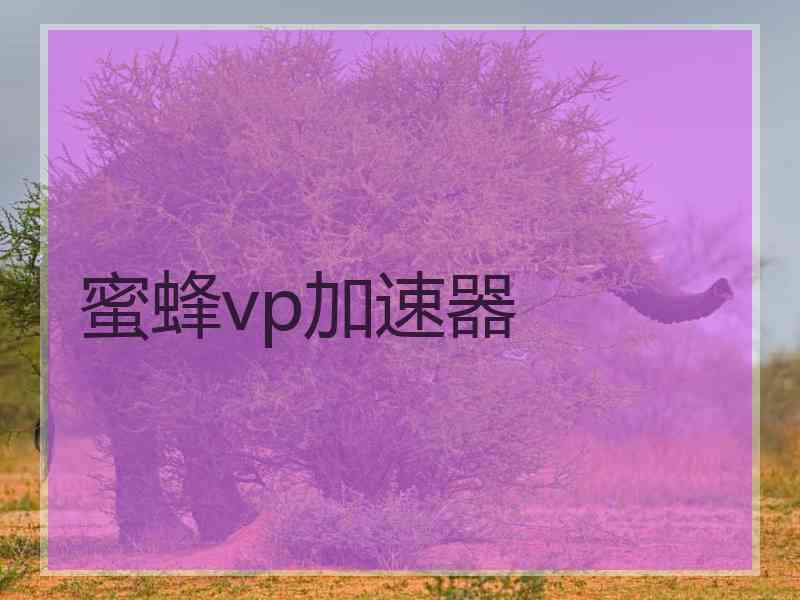 蜜蜂vp加速器