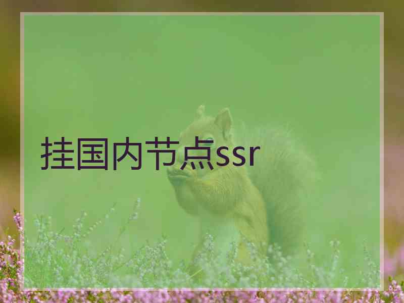 挂国内节点ssr